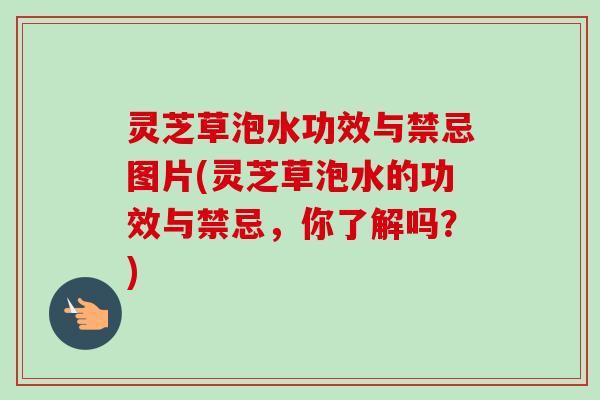灵芝草泡水功效与禁忌图片(灵芝草泡水的功效与禁忌，你了解吗？)