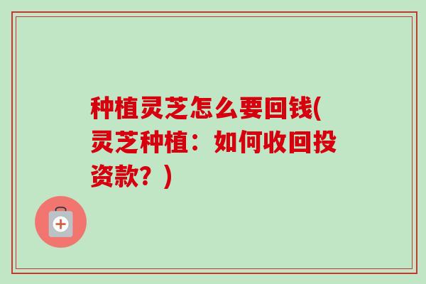 种植灵芝怎么要回钱(灵芝种植：如何收回投资款？)