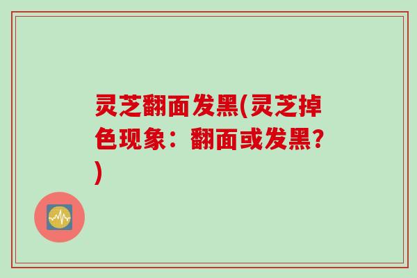 灵芝翻面发黑(灵芝掉色现象：翻面或发黑？)