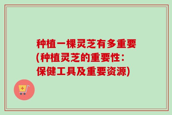 种植一棵灵芝有多重要(种植灵芝的重要性：保健工具及重要资源)