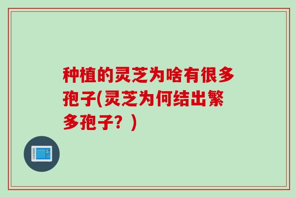 种植的灵芝为啥有很多孢子(灵芝为何结出繁多孢子？)