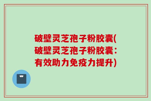 破壁灵芝孢子粉胶囊(破壁灵芝孢子粉胶囊：有效助力免疫力提升)