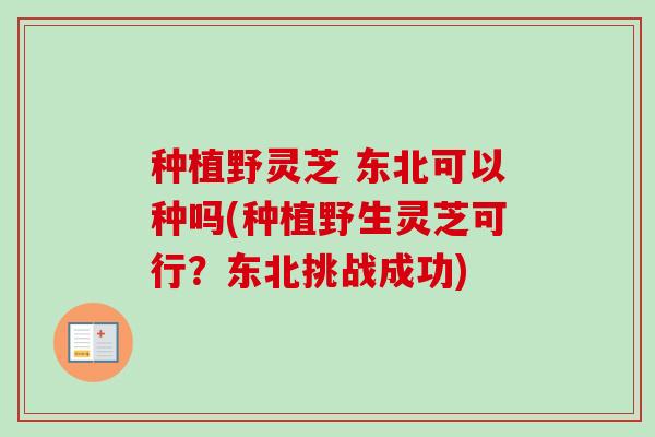 种植野灵芝 东北可以种吗(种植野生灵芝可行？东北挑战成功)