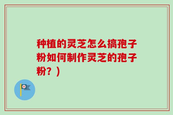 种植的灵芝怎么搞孢子粉如何制作灵芝的孢子粉？)
