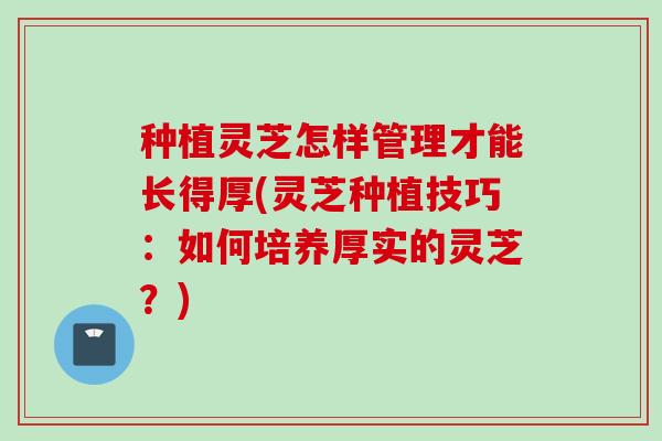 种植灵芝怎样管理才能长得厚(灵芝种植技巧：如何培养厚实的灵芝？)