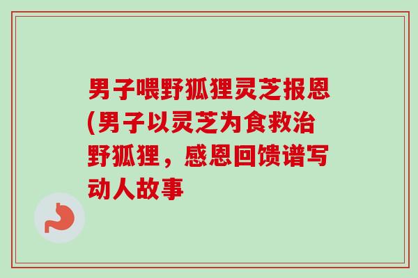 男子喂野狐狸灵芝报恩(男子以灵芝为食救治野狐狸，感恩回馈谱写动人故事