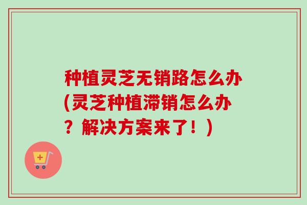 种植灵芝无销路怎么办(灵芝种植滞销怎么办?解决方案来了!) 种植灵芝无销路怎么办(灵芝种植滞销怎么办?解决方案来了!)