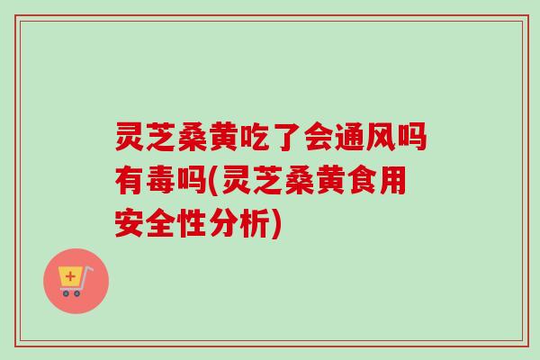 灵芝桑黄吃了会通风吗有毒吗(灵芝桑黄食用安全性分析)