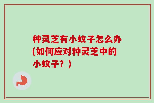 种灵芝有小蚊子怎么办(如何应对种灵芝中的小蚊子？)