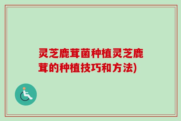 灵芝鹿茸菌种植灵芝鹿茸的种植技巧和方法)