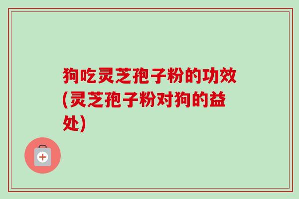 狗吃灵芝孢子粉的功效(灵芝孢子粉对狗的益处)