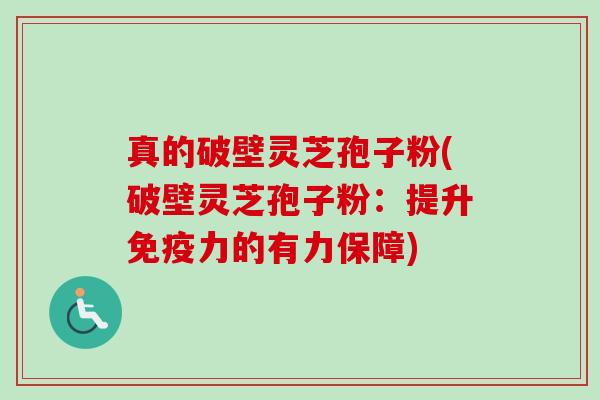 真的破壁灵芝孢子粉(破壁灵芝孢子粉：提升免疫力的有力保障)