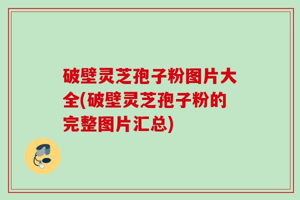 破壁灵芝孢子粉图片大全(破壁灵芝孢子粉的完整图片汇总)