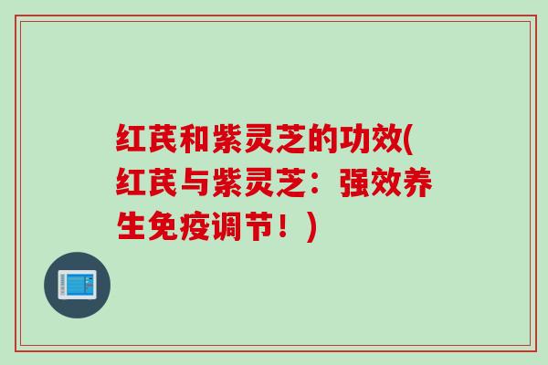 红芪和紫灵芝的功效(红芪与紫灵芝：强效养生免疫调节！)