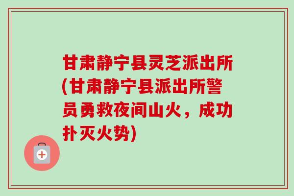 甘肃静宁县灵芝派出所(甘肃静宁县派出所警员勇救夜间山火，成功扑灭火势)
