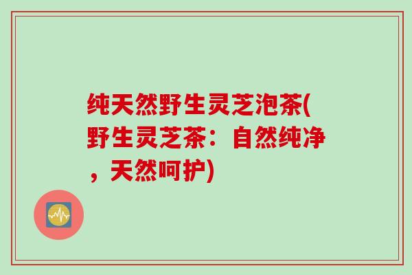 纯天然野生灵芝泡茶(野生灵芝茶：自然纯净，天然呵护)