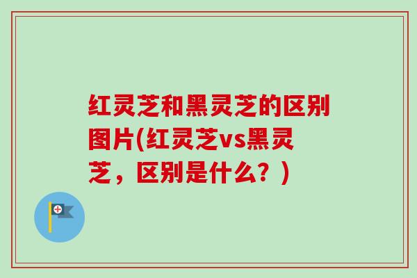 红灵芝和黑灵芝的区别图片(红灵芝vs黑灵芝，区别是什么？)
