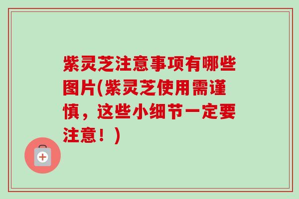 紫灵芝注意事项有哪些图片(紫灵芝使用需谨慎，这些小细节一定要注意！)