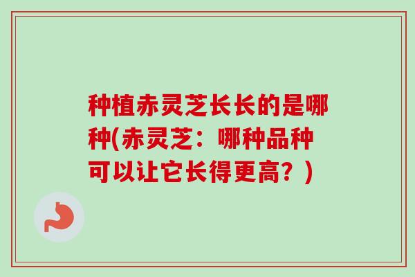 种植赤灵芝长长的是哪种(赤灵芝：哪种品种可以让它长得更高？)
