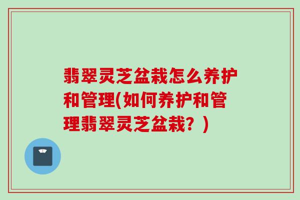 翡翠灵芝盆栽怎么养护和管理(如何养护和管理翡翠灵芝盆栽？)