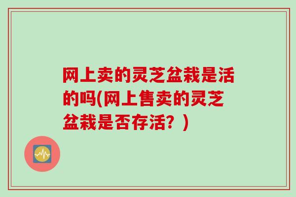 网上卖的灵芝盆栽是活的吗(网上售卖的灵芝盆栽是否存活？)