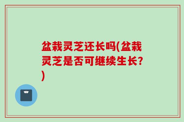盆栽灵芝还长吗(盆栽灵芝是否可继续生长？)
