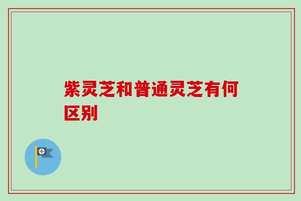紫灵芝和普通灵芝有何区别