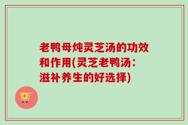 老鸭母炖灵芝汤的功效和作用(灵芝老鸭汤：滋补养生的好选择)