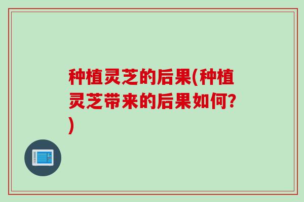种植灵芝的后果(种植灵芝带来的后果如何？)