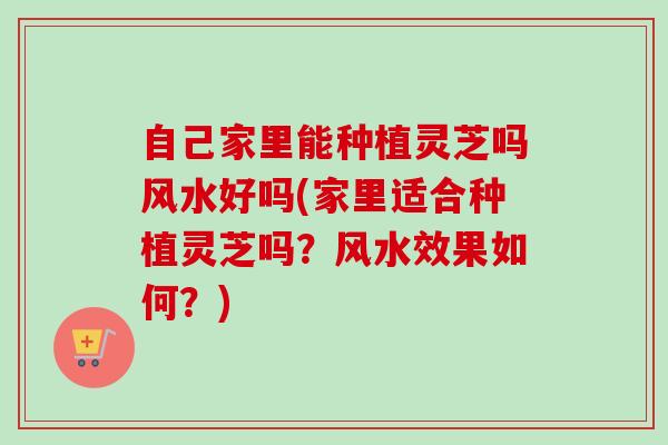 自己家里能种植灵芝吗风水好吗(家里适合种植灵芝吗？风水效果如何？)