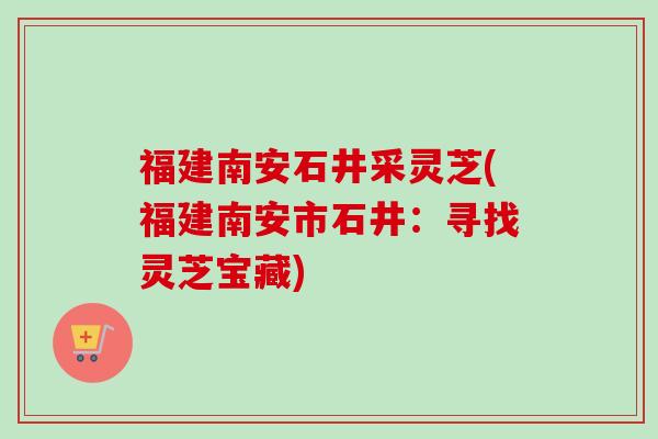 福建南安石井采灵芝(福建南安市石井：寻找灵芝宝藏)