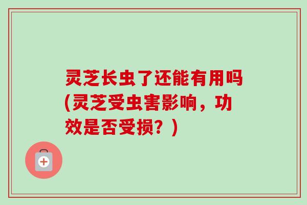 灵芝长虫了还能有用吗(灵芝受虫害影响，功效是否受损？)