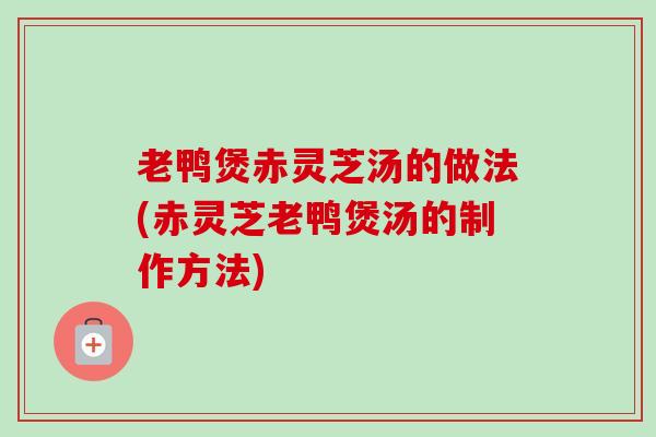 老鸭煲赤灵芝汤的做法(赤灵芝老鸭煲汤的制作方法)