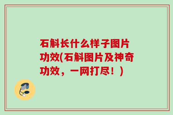 石斛长什么样子图片 功效(石斛图片及神奇功效，一网打尽！)