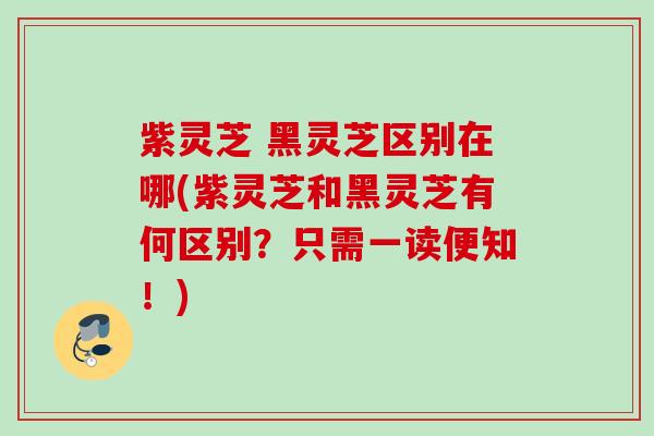 紫灵芝 黑灵芝区别在哪(紫灵芝和黑灵芝有何区别？只需一读便知！)