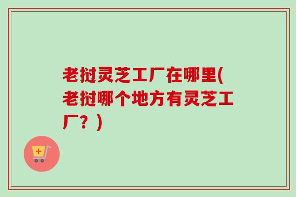 老挝灵芝工厂在哪里(老挝哪个地方有灵芝工厂？)