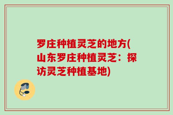 罗庄种植灵芝的地方(山东罗庄种植灵芝：探访灵芝种植基地)