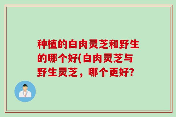 种植的白肉灵芝和野生的哪个好(白肉灵芝与野生灵芝,哪个更好? 种植的白肉灵芝和野生的哪个好(白肉灵芝与野生灵芝,哪个更好?