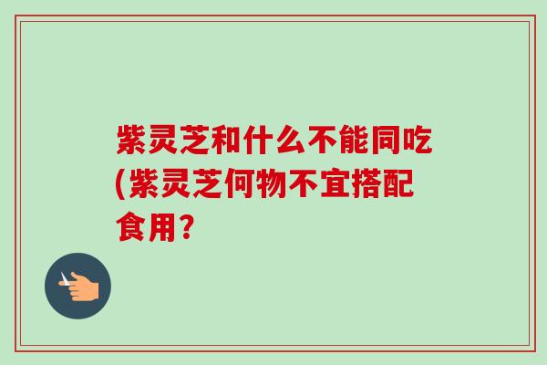 紫灵芝和什么不能同吃(紫灵芝何物不宜搭配食用？