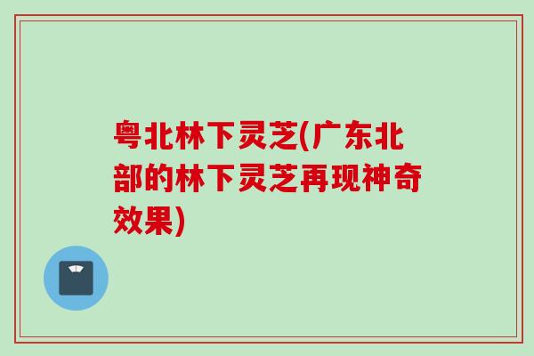粤北林下灵芝(广东北部的林下灵芝再现神奇效果)