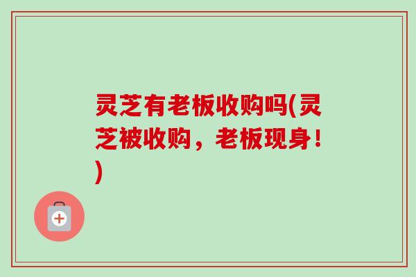 灵芝有老板收购吗(灵芝被收购，老板现身！)