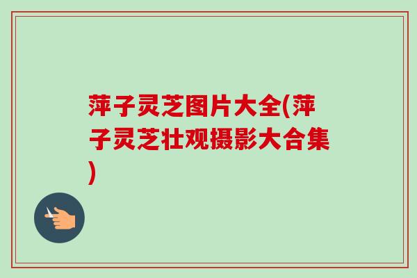 萍子灵芝图片大全(萍子灵芝壮观摄影大合集)