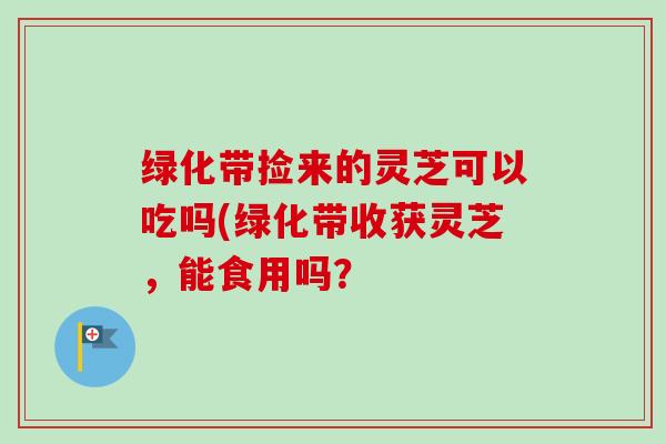 绿化带捡来的灵芝可以吃吗(绿化带收获灵芝，能食用吗？