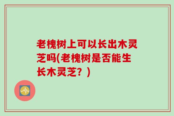 老槐树上可以长出木灵芝吗(老槐树是否能生长木灵芝？)