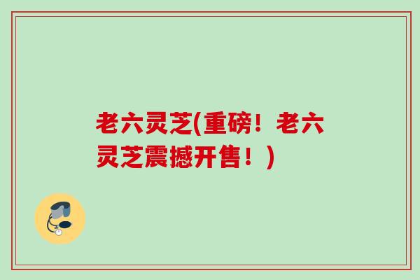 老六灵芝(重磅！老六灵芝震撼开售！)