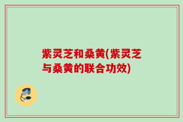 紫灵芝和桑黄(紫灵芝与桑黄的联合功效)