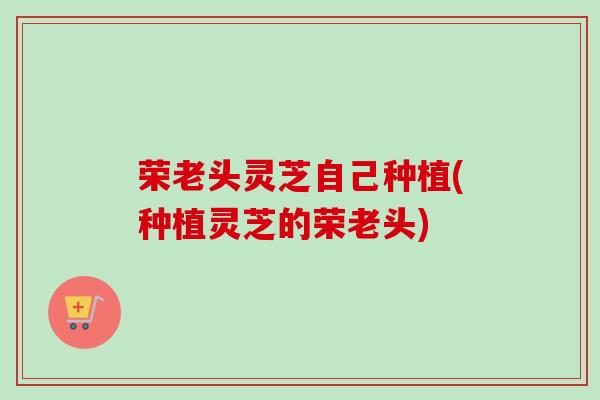 荣老头灵芝自己种植(种植灵芝的荣老头)