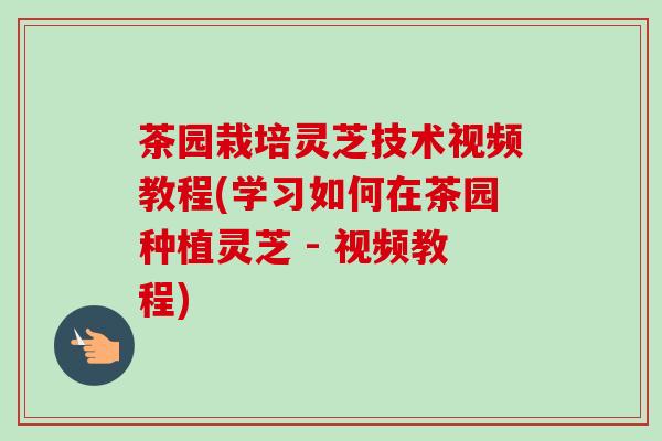 茶园栽培灵芝技术视频教程(学习如何在茶园种植灵芝 - 视频教程)