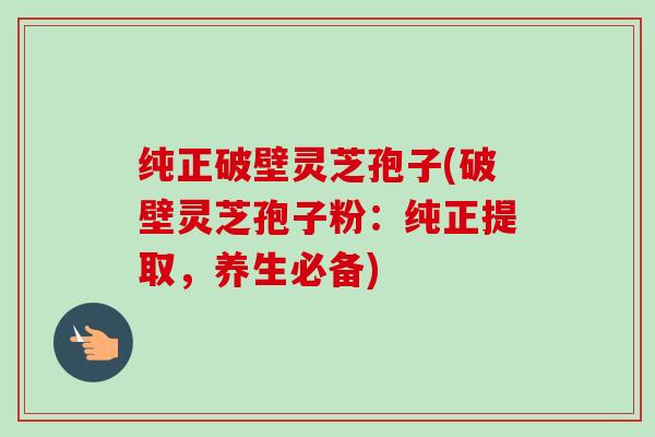 纯正破壁灵芝孢子(破壁灵芝孢子粉：纯正提取，养生必备)