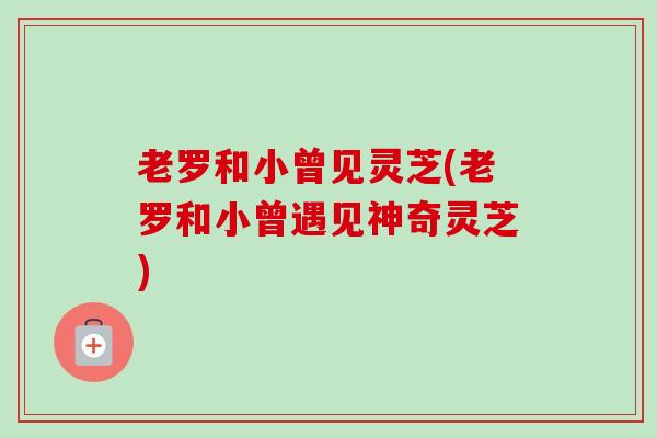老罗和小曾见灵芝(老罗和小曾遇见神奇灵芝)